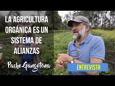 Pacho Gangotena Interview 2015.