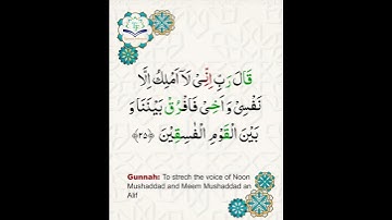 Learn Tajweed of Surah al-maidah Ayat 25 | تعلم التجويد - سورة المائدة | Tajweed Rules + Practice