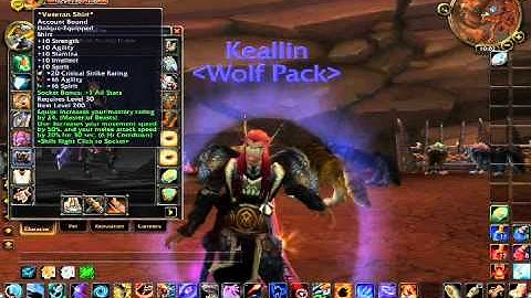 Ash Realms Private Server 4.0.6 and 4.1.0 supported