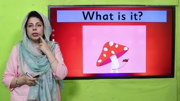 English Playgroup Unit 16 Lecture 1 || SNC 2020 ||