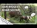 Hunting Aotearoa Series 5 EP10 Biggest Boar we've ever seen!