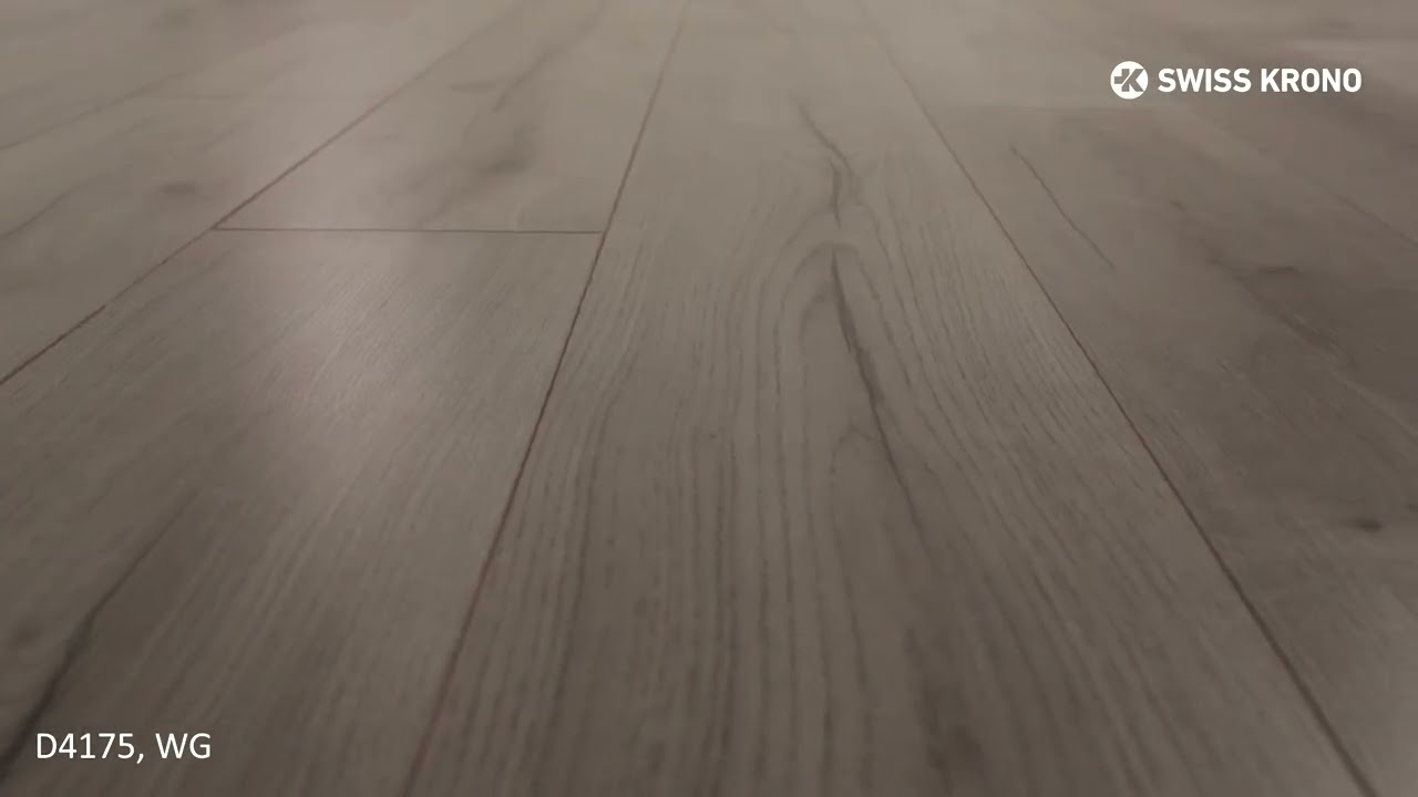 Previzualizare video