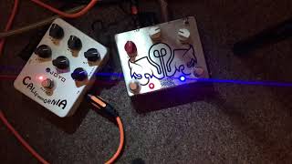 Pro Tone Pedals Misha Mansoor Buld Overdrive Deluxe in Action