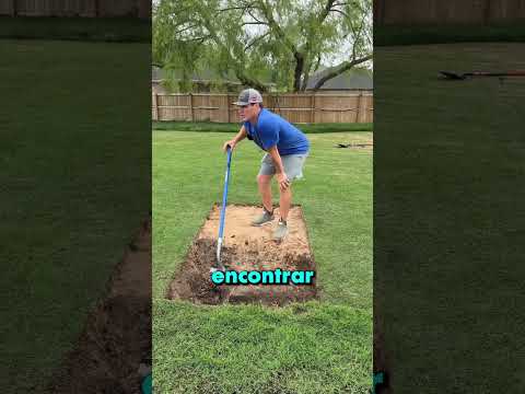 Encontró algo TERRIBLE en su jardín 😨☁