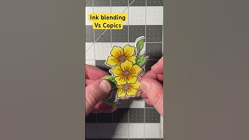 Copic coloring versus a stencil. Stamps by @Altenew. #stamping #cardmaking