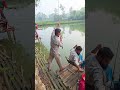 শিকারি আল আমিন ভাই বড় কাতল মাছ শিকার করেন। flshinh video big Flsh Catching hookflshing