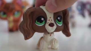 LPS: Trade Package #3! || New Lps #15