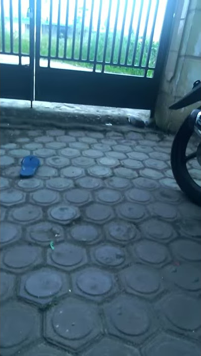 cara melempar sandal