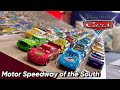 Mattel disney cars 2008 motor speedway of the south set review  exclusive apple racer  1 of 1000