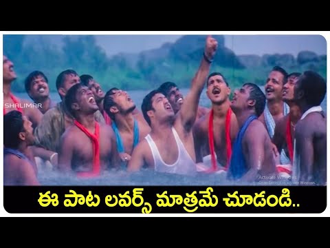 Megham Karigenu Full Video Song || Naaga Movie || Jr NTR, Sada || shalimarcinema