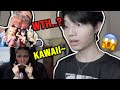 kpoper reacts to senpai weebs - i thought I was a koreaboo til I found this vid