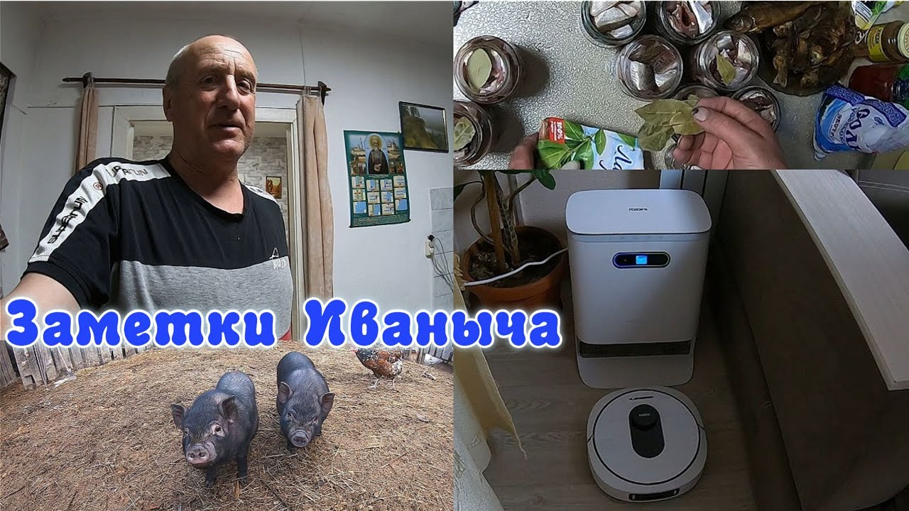 Домашние дела, рыбные блюда и чудо-техника