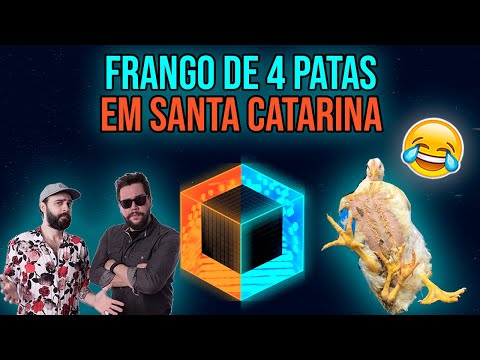 Frango de 4 patas em Santa Catarina 😂 Podcast Caixa Preta