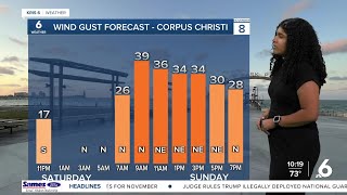 Cold front brings a drop in temperatures, gusty winds, and a Red Flag Warning