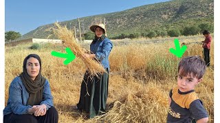 Harvesting wheat in the field by Ziba