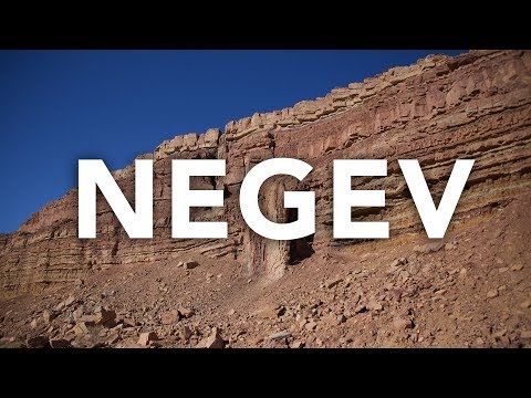 Vídeo: Deserto de Negev florido em Israel