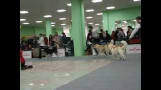 MVI_5036.AVI
