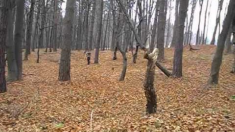 new atlatl and takedown darts testing