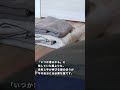 着ない服ゼロ #shorts