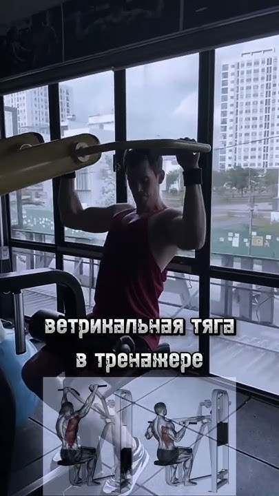 Вертикальная тяга в тренажере на спину - YouTube