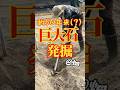 【約50年】畑に埋まっていた【巨大石】を掘り起こしてみた🪨👨🏻&zwj;🌾👩🏻&zwj;🌾ww #shorts