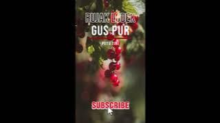 Rujak Lodek voc. Gus Pur ft Putu Tina