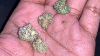 4 STRAIN BOWL !!!