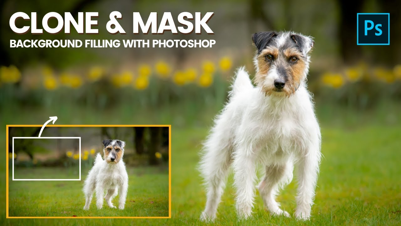 Download BACKGROUND EDITING & MASKING IN PHOTOSHOP - Episode 7 - Terrier Dog Photo Editing Series