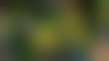 FUCKING NOOBS :D:D:D