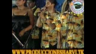 MIX NUEVA OLA  - HNOS SILVA PRIMICIA 2009 (www produccionesharvi tk)