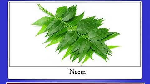 Incredible Science Class 3-Chapter 6-Page Number 58