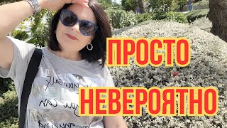 ВЛОГ: Самое душевное ...  РАЙ на земле - это ИСПАНИЯ/ #мирвокругменя #испания