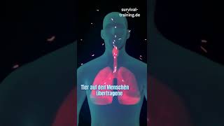 Tödliche Erkrankung