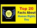 Human rights day   facts