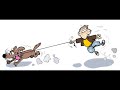 V J SMITH BOOK TRAILER HOW TO SAFELY KEEP YOUR DOG PAIN FREE