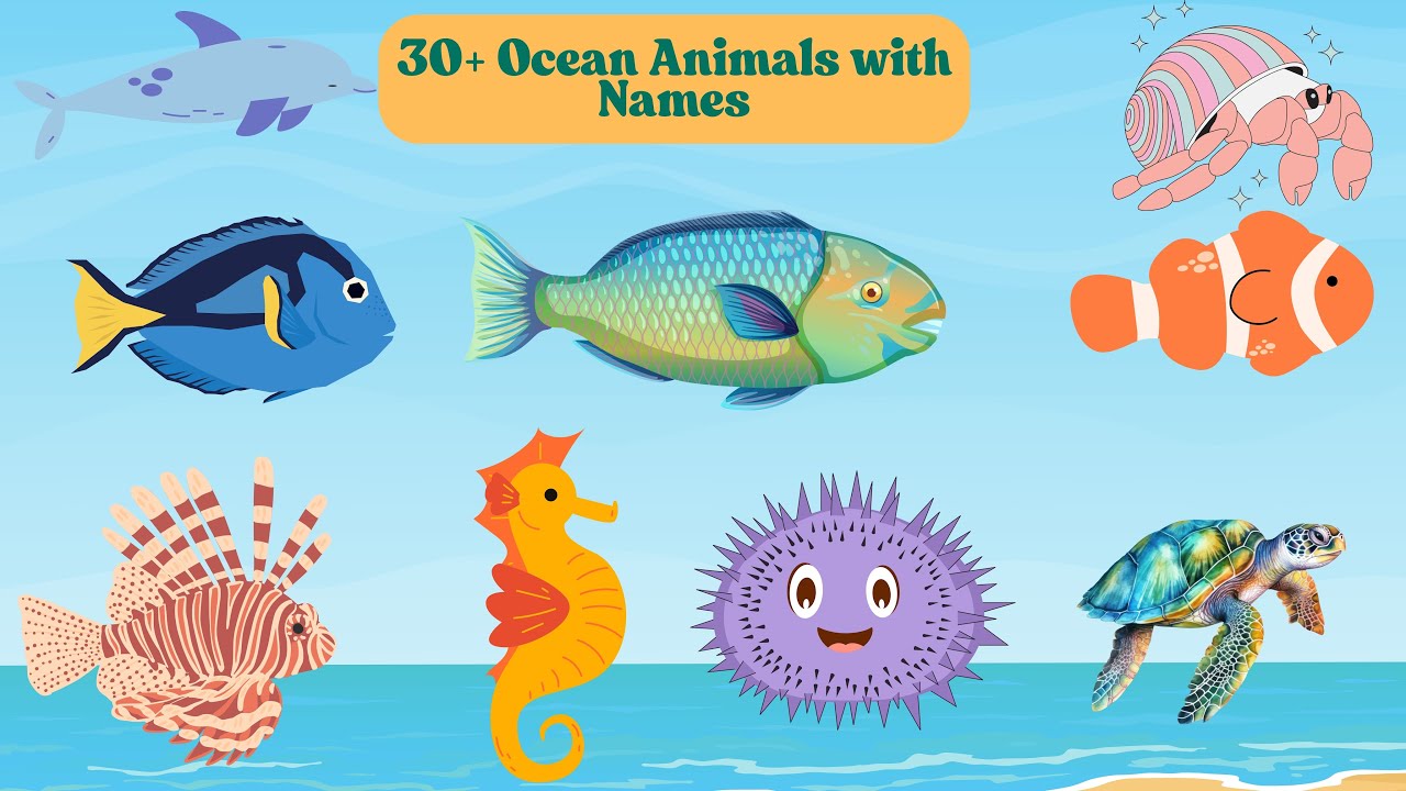 30+ Ocean Animals for Kids 🌊🐠 | Learn Sea Creature Names with Fun 3D ...