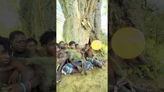Hadza falls unconscious after the balloon bursts #africa #hadzatribe #usa #animals #india #comedy