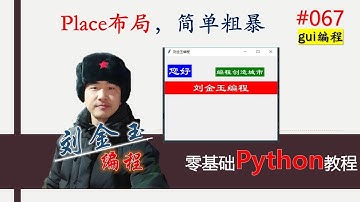 零基础Python教程067期 gui编程place布局，简单粗暴#编程创造城市#刘金玉