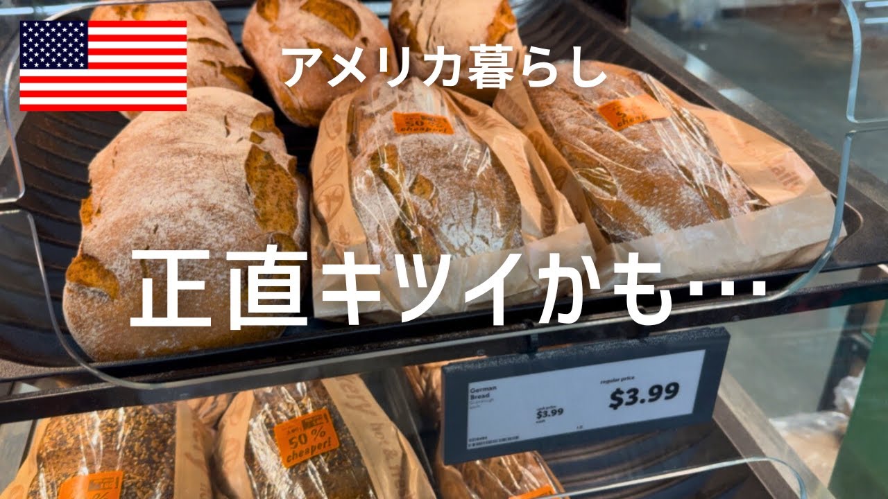 【血液検査80,000円超え〜…】政府閉鎖、大量解雇、物価上昇、失業率増加…アメリカはどこへ向かっているのか｜小学校に警察官駐在｜待ちに待った日本からの小包が…関税は？！