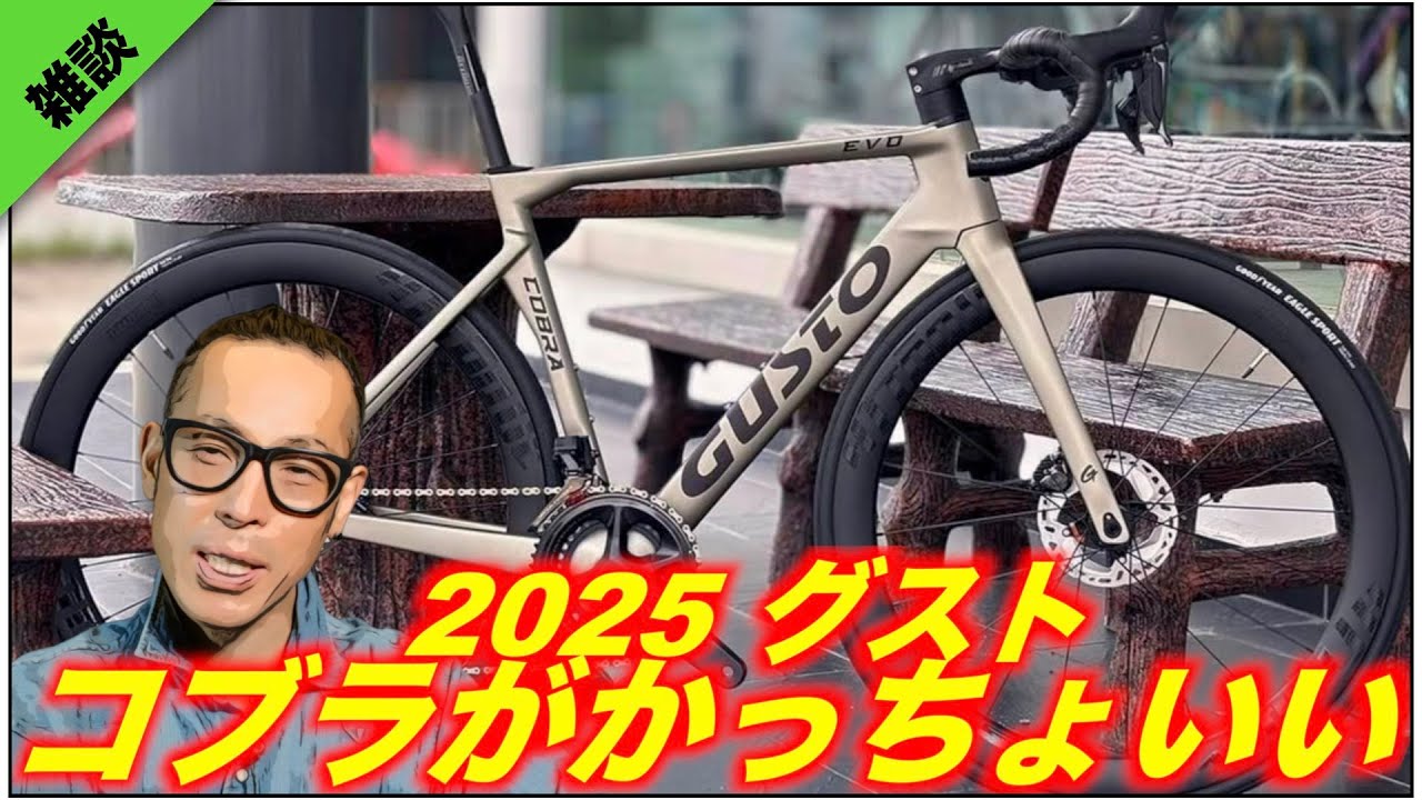 コブラ　ロードバイク COBRA EVO DB PRO LEGEND – GUSTO高士特