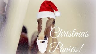 Model Horse Christmas Haul