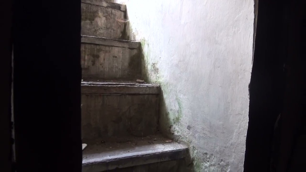 Кроме вас сюда только ANNA News ходит! 18+ (архив)