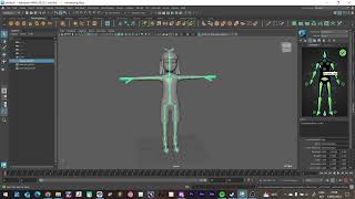 Maya | Quick human definition and Bake Animation