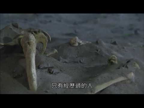 仙魔鏖鋒-劍咫尺 情老山境 過往