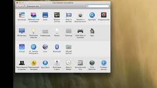 Баг в OS X Mavericks 10.9.5