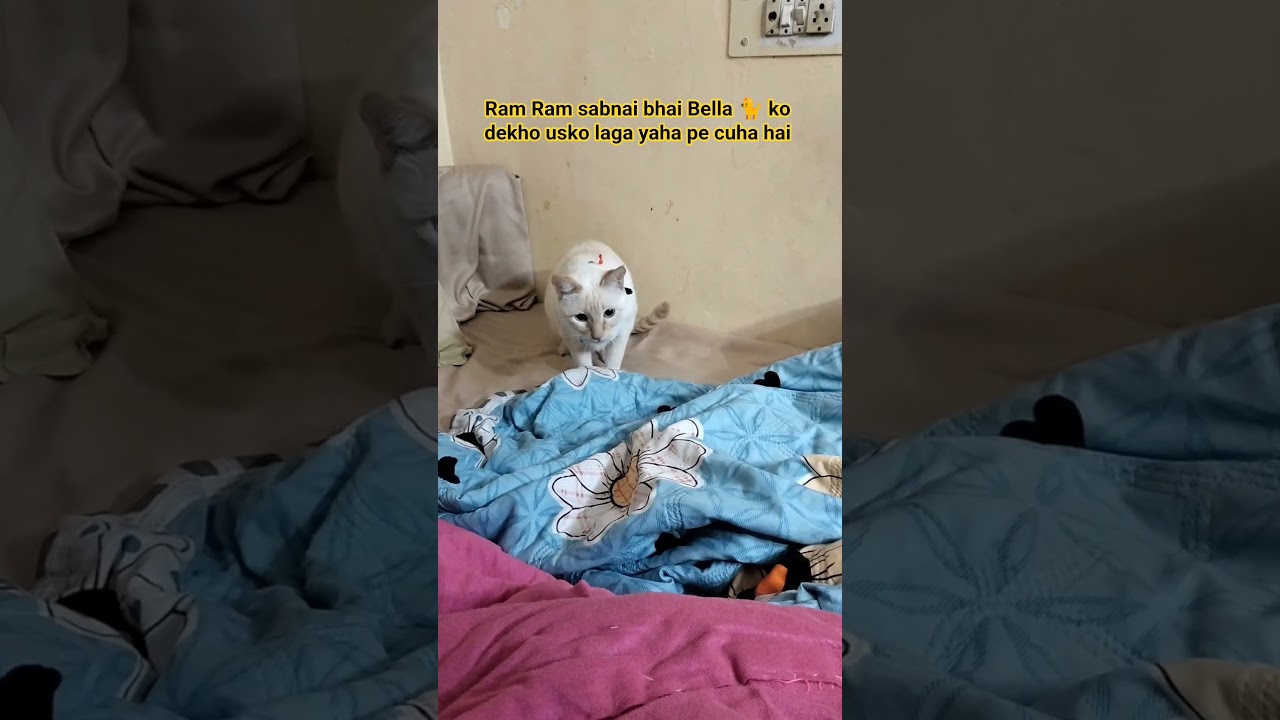 Parveen Sehrawat# Short#animal#nature lover