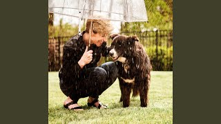 Rain's Rhythm for Pet Peace