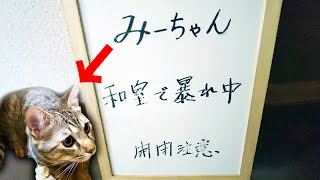 禁断の扉を開くと・・・