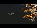 TK from 凛として時雨 『copy light』english lyrics