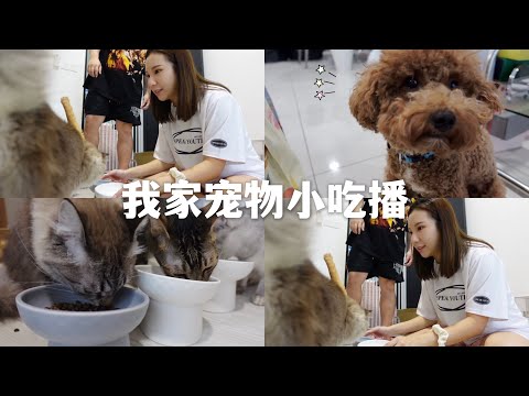 【DAILY VLOG】跟猫猫狗狗换新粮食啦 · 小小的小吃播 ASMR ft.Natural Signature